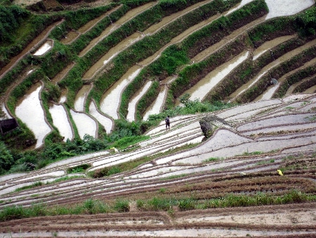 Avis evelyne et bernard Chine