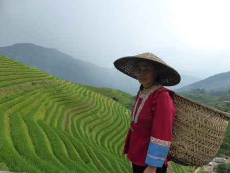 Avis Famille Fonciotto Chine