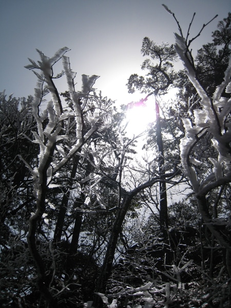 Avis Famille Fes Chine