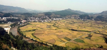 Avis Famille Kurt Chine