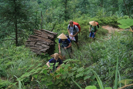 Avis groupe Pasture Chine