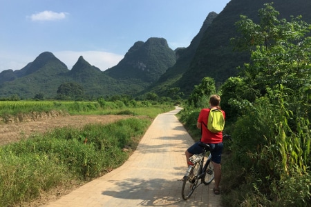 Avis groupe Pasture Chine