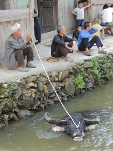 avis-marianne-et-olivier-chine-5