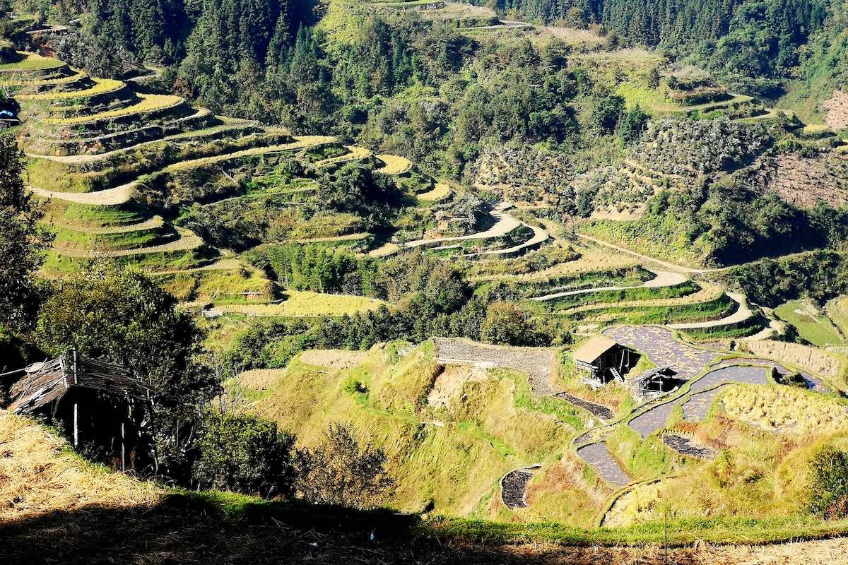 China Roads - Guangxi - Danian 1