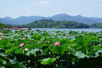 West Lake (Xi Hu)- 西湖