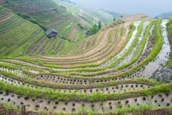 Ping'an paddy fields - Longsheng - 平安 龙胜