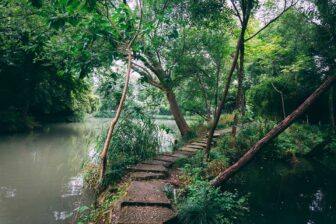 Xixi National Wetland Park 西溪国家湿地公园